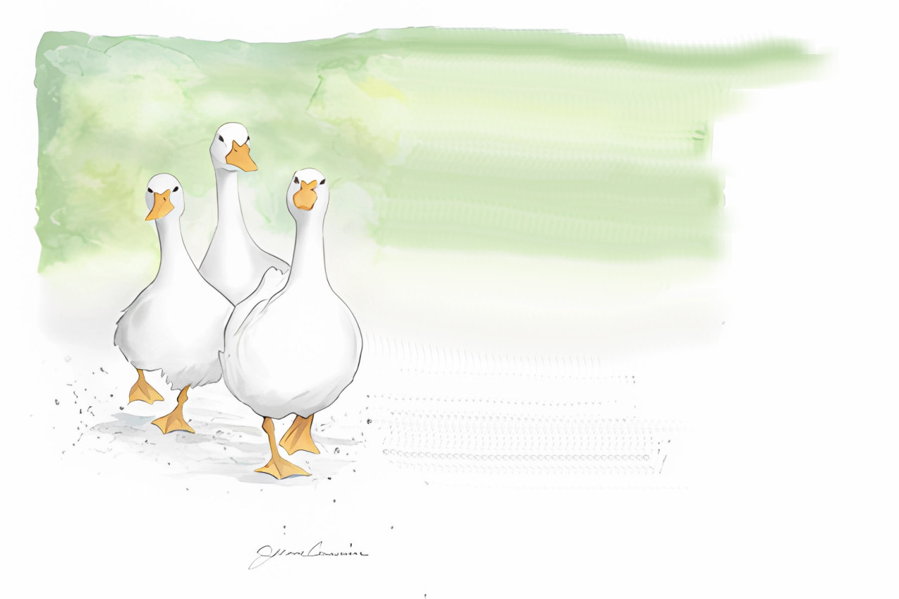 Watercolor image of 3 geese