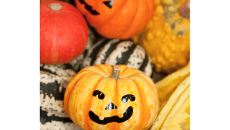 Miniature pumpkins with faces