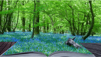 Open book in front of a forest