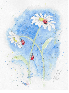 3 ladybugs on 2 daisies