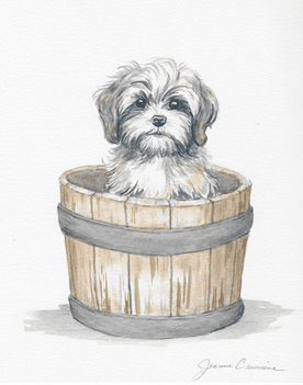 puppy in barrel