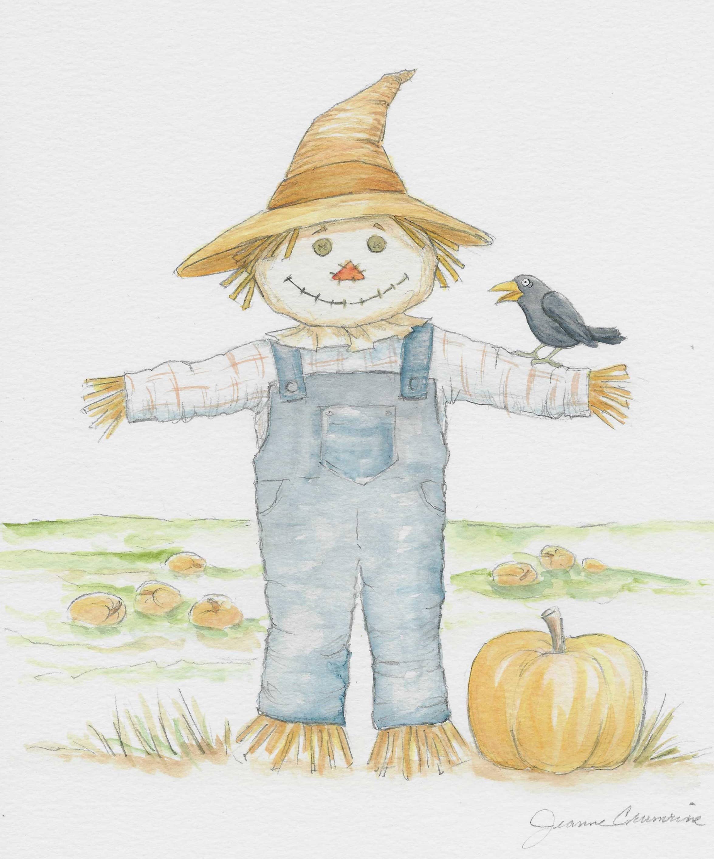 crow standing on arm of scarecrow in a pumpkin field