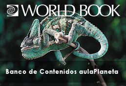 iguana on a stick WorldBook Banco de Contenidos aula Planeta