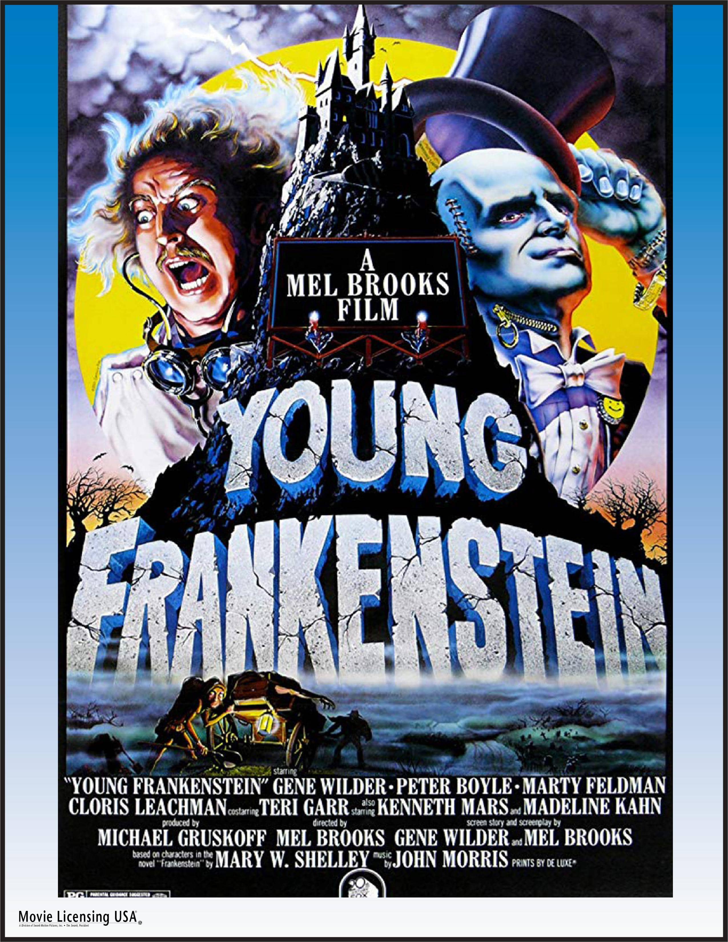 man skeleton castle Young Frankenstein movie cover